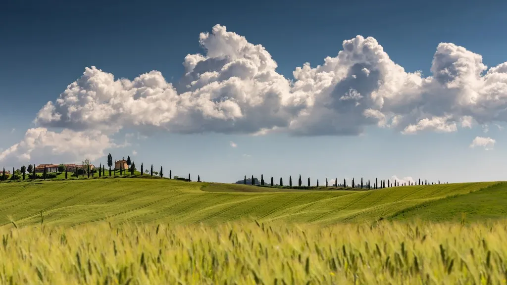 Tuscan rolling hills with cypress trees and a farmhouse under a summer sky